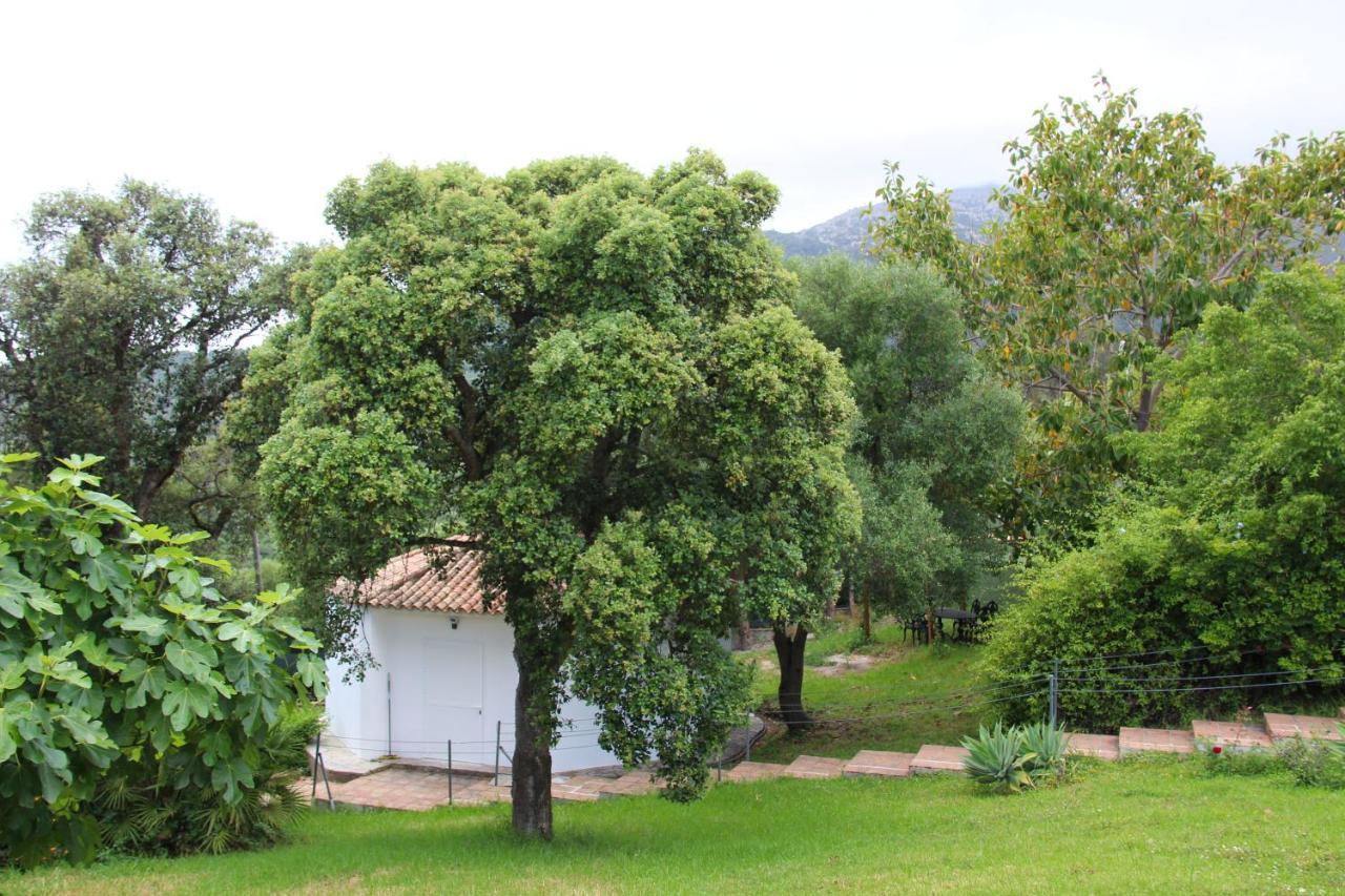 Finca El Campo Algeciras Ngoại thất bức ảnh